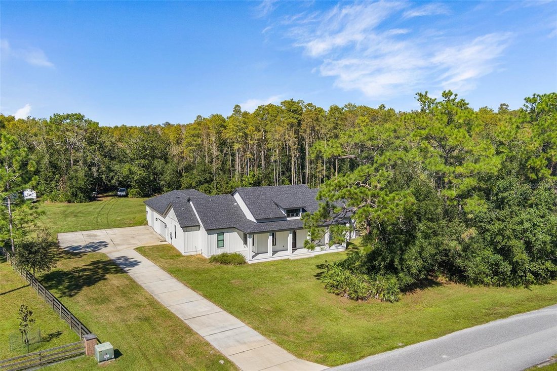 House in Spring Hill, Florida, United States 1 - 19160468