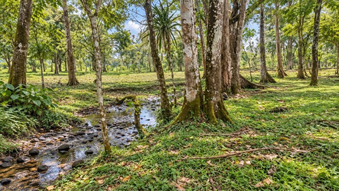 Terreno a Cantone di Upala, Provincia di Alajuela, Costa Rica 1 - 19161395