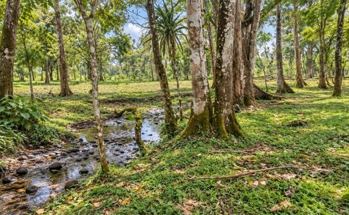 Terreno en Upala, Provincia de Alajuela, Costa Rica 1