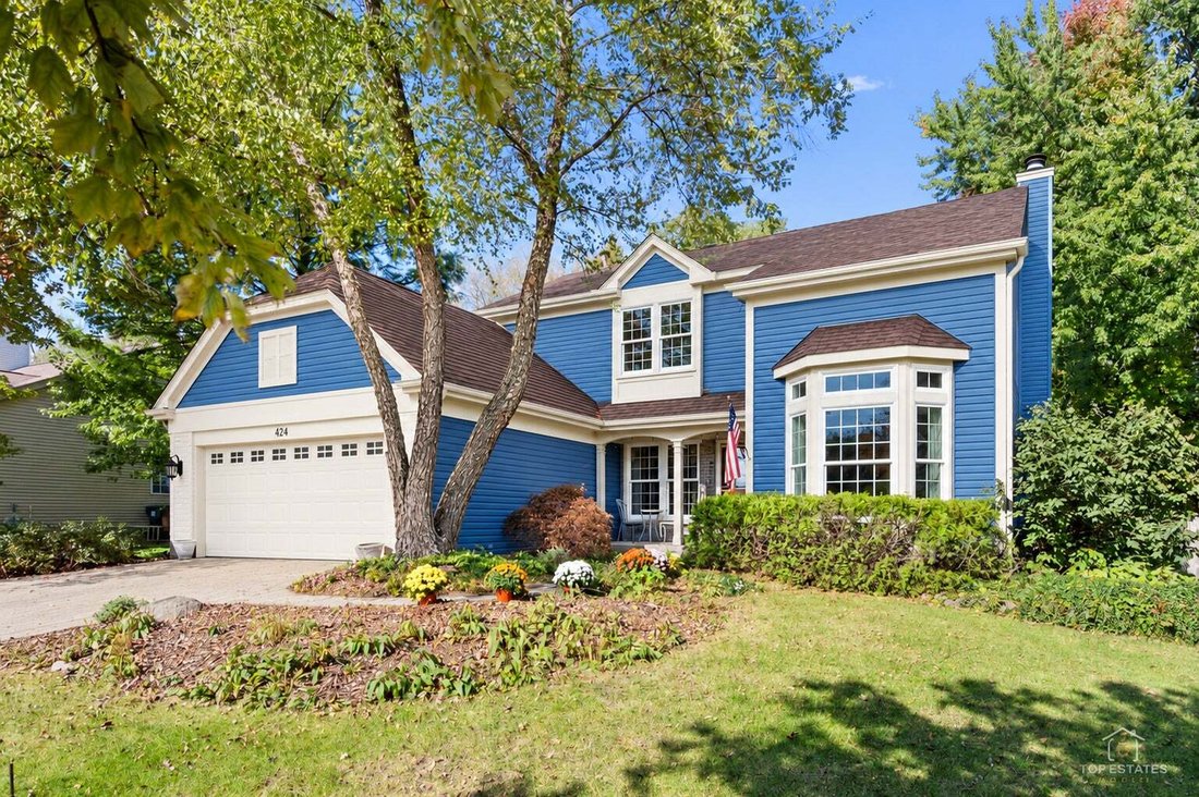 House in Carpentersville, Illinois, United States 1 - 19163593