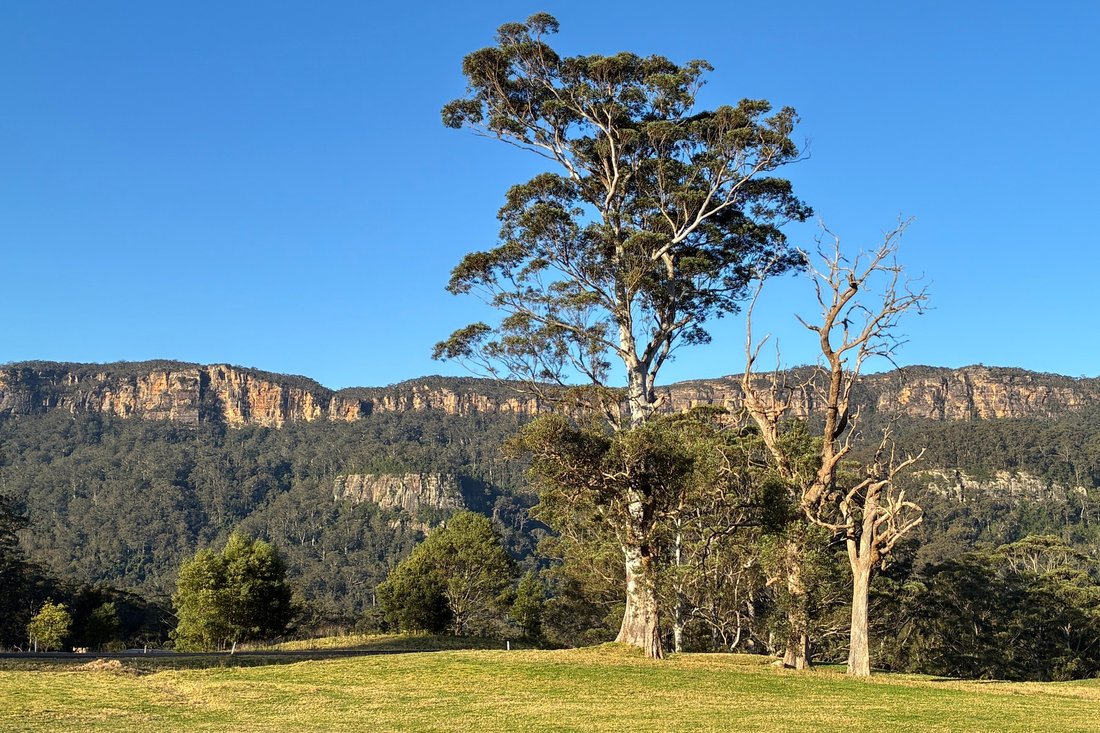 Haus in Barrengarry, New South Wales, Australien 3 - 19165369