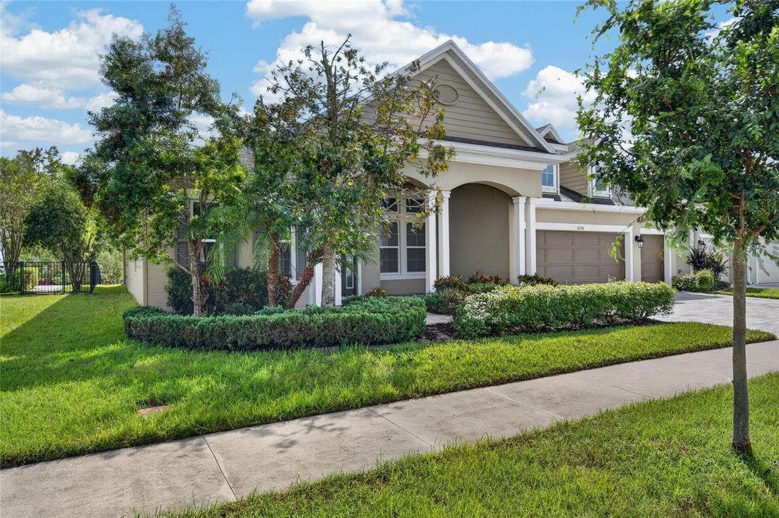 House in Land O' Lakes, Florida, United States 5 - 19160482