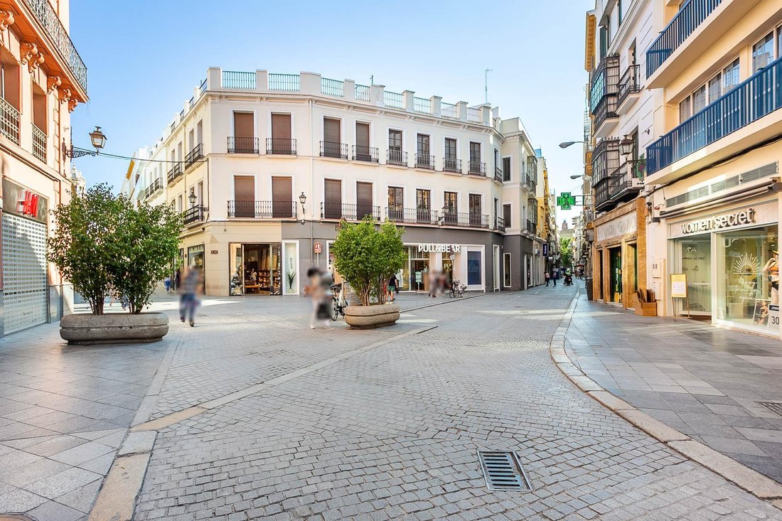 Apartment in Casco Antiguo, Seville, Spain 1 - 19163000