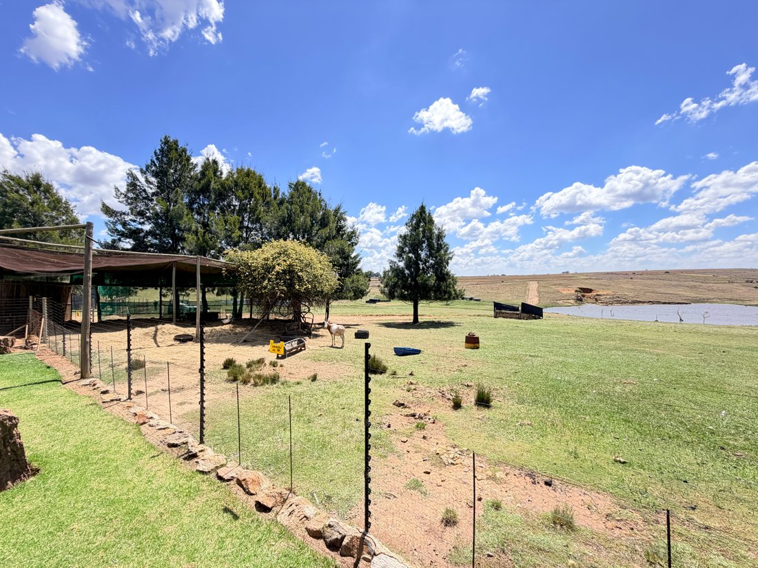 Farm Ranch in Clarens, Free State, South Africa 3 - 19161800