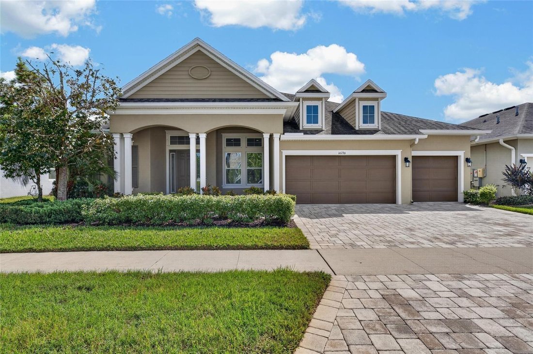 House in Land O' Lakes, Florida, United States 4 - 19160482