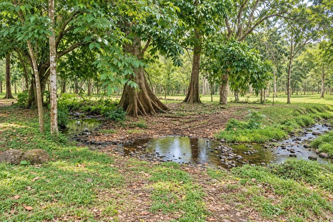Terreno a Cantone di Upala, Provincia di Alajuela, Costa Rica 5 - 19161395