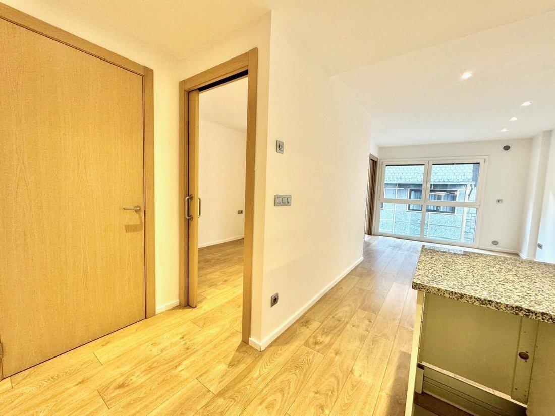 Apartment in Escaldes-Engordany, Escaldes-Engordany, Andorra 1 - 19163528