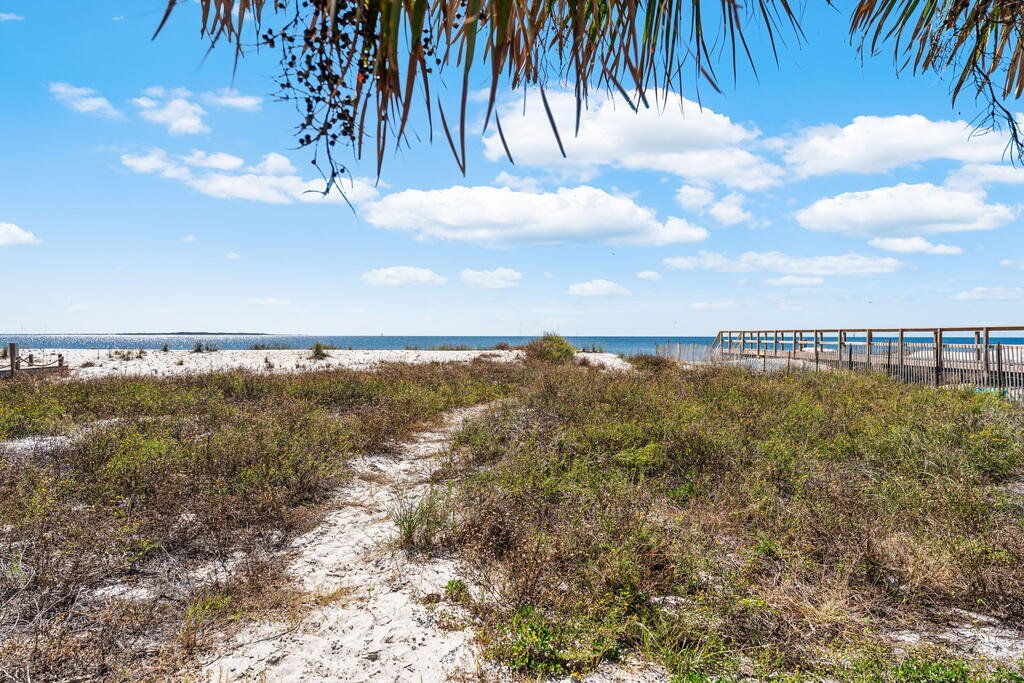 House in Port St. Joe, Florida, United States 4 - 19162265