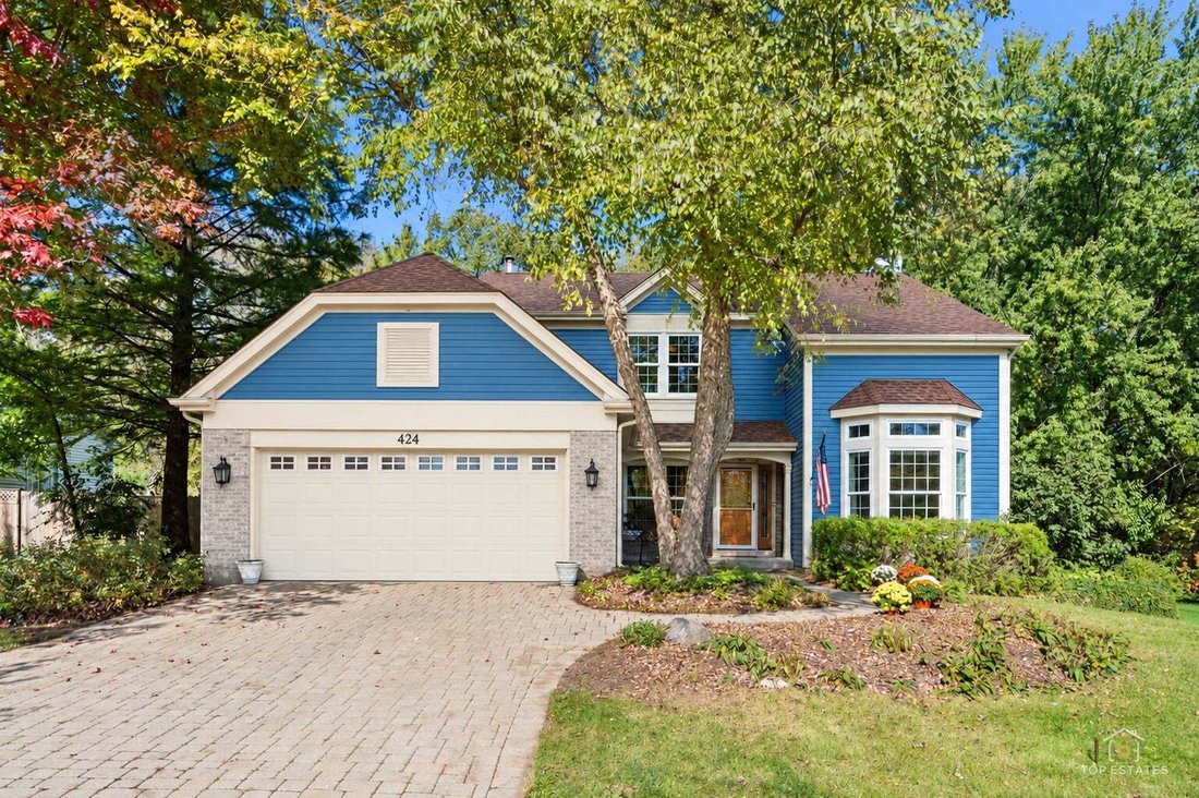 House in Carpentersville, Illinois, United States 4 - 19163593