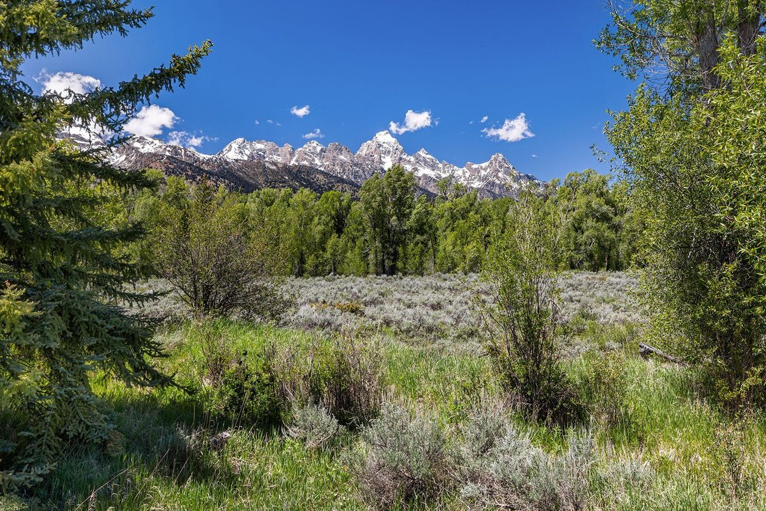 Land in Jackson, Wyoming, Vereinigte Staaten 1 - 19165542
