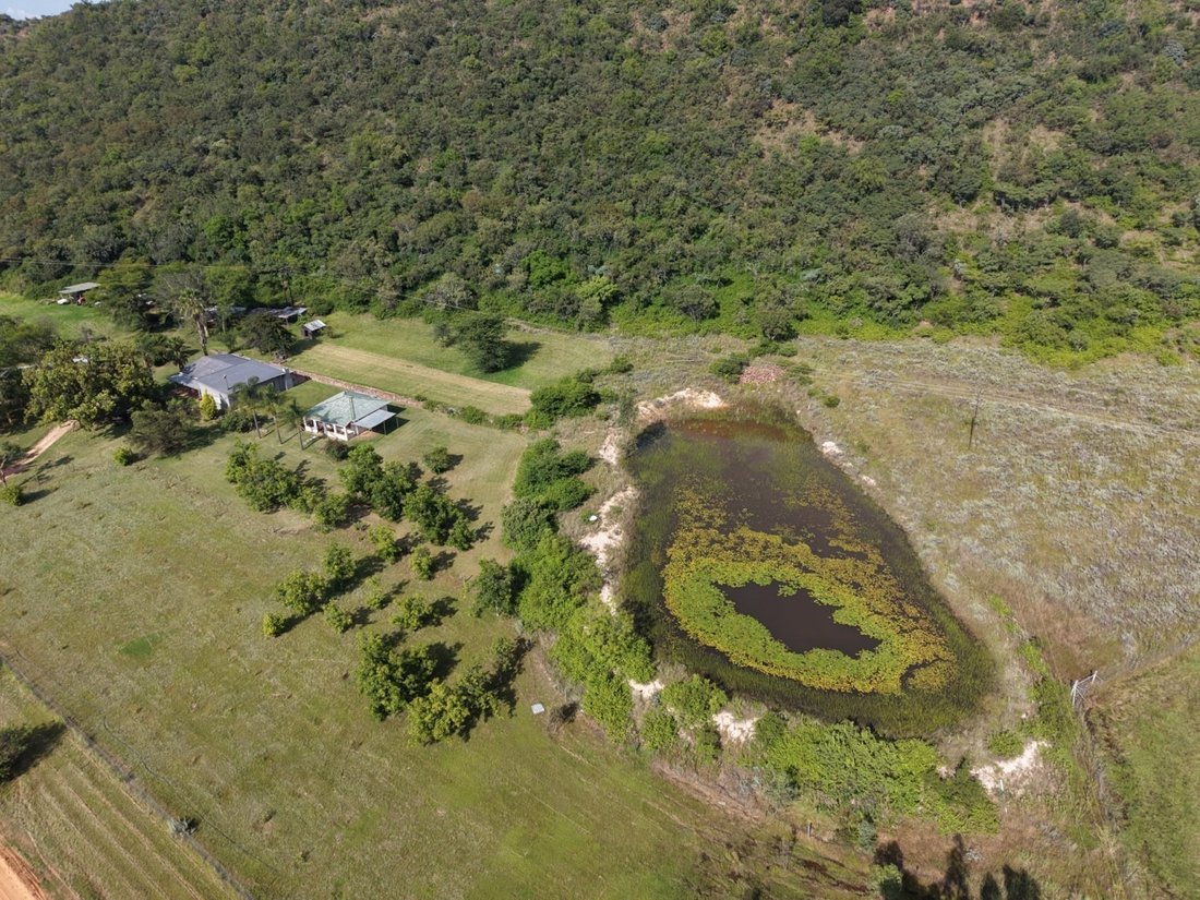 Farm Ranch in Bela-Bela, Limpopo, South Africa 5 - 19161741