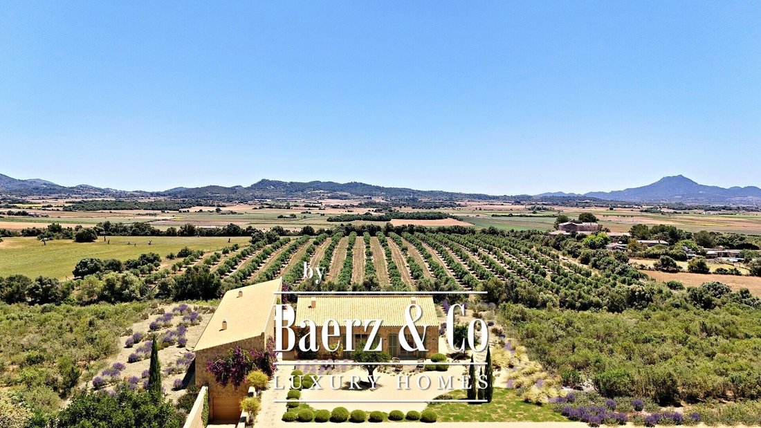 Finca in Manacor, Balearic Islands, Spain 3 - 19160472