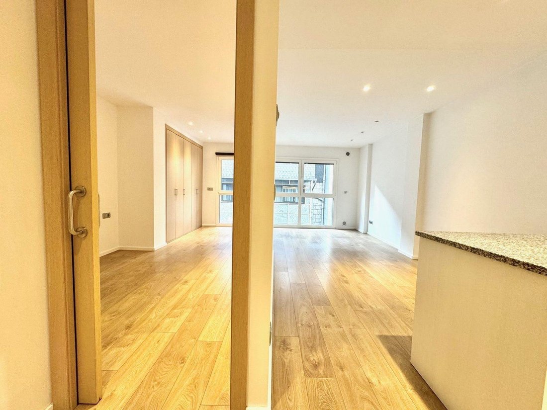 Apartment in Escaldes-Engordany, Escaldes-Engordany, Andorra 2 - 19163528