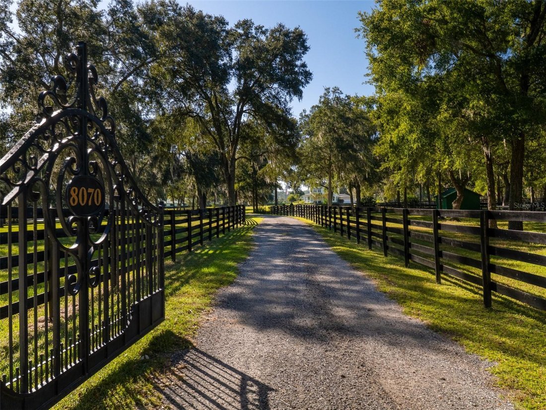 Farm Ranch in Ocala, Florida, United States 3 - 19162689