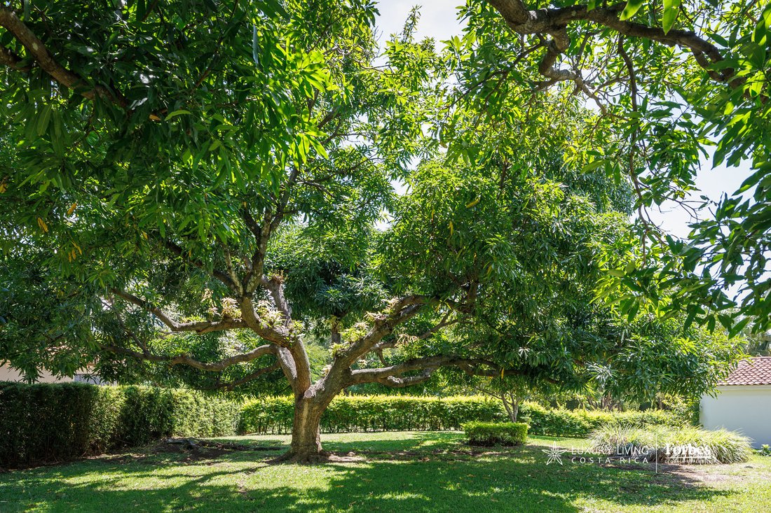 Haus in Pozos, San José, Costa Rica 4 - 19162467