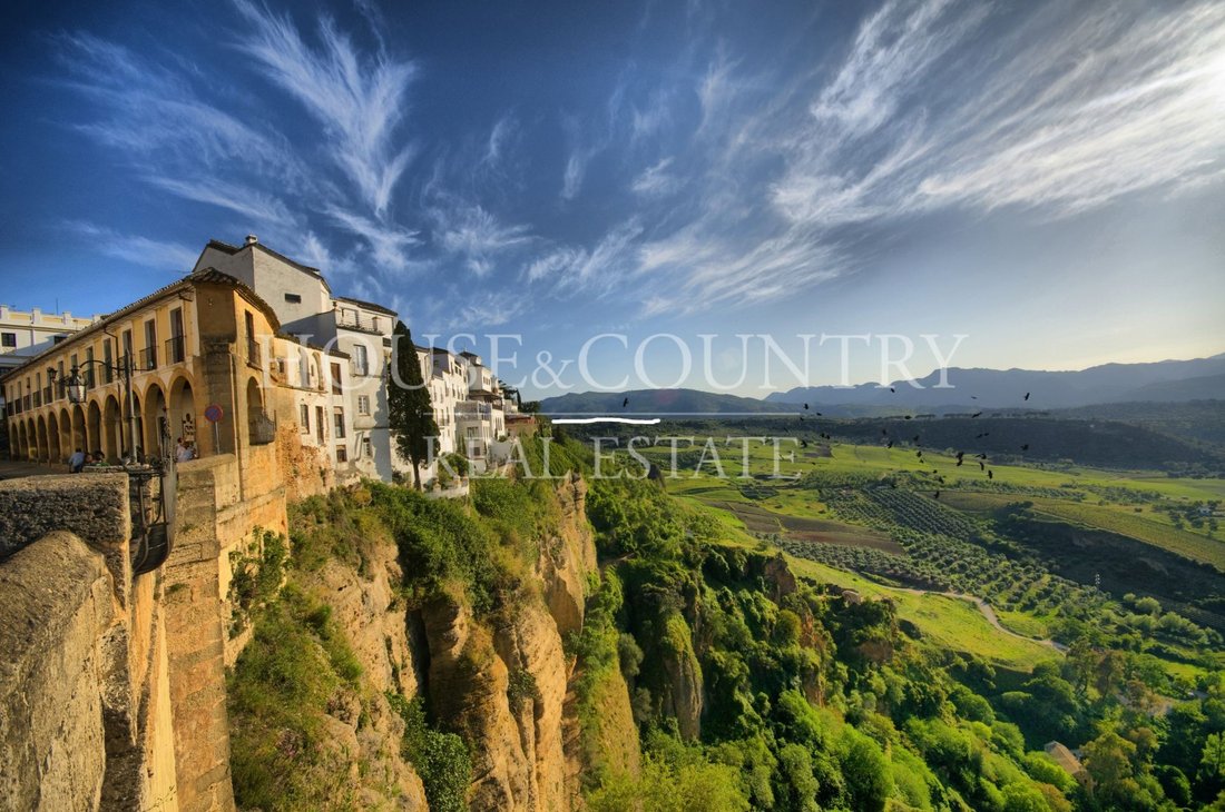 Finca in Ronda, Andalusia, Spain 4 - 19166827