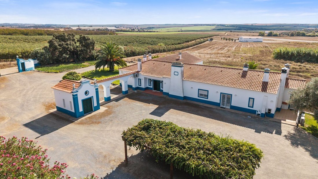 Landhaus in Ferreira do Alentejo e Canhestros, Beja, Portugal 1 - 18782601