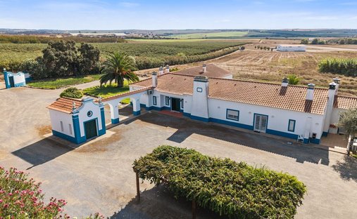 Casa di campagna a Ferreira do Alentejo e Canhestros, Distretto di Beja, Portogallo 1
