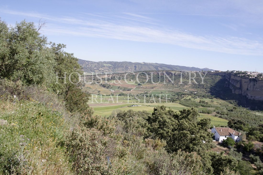 Finca in Ronda, Andalusia, Spain 3 - 19166827