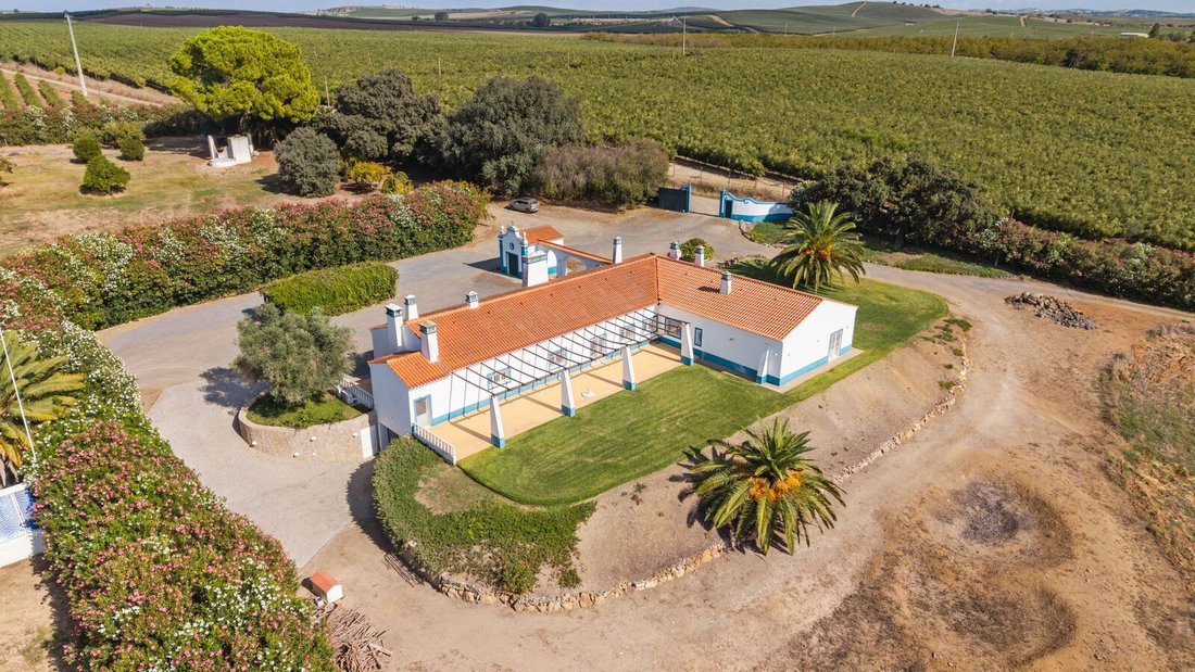 Landhaus in Ferreira do Alentejo e Canhestros, Beja, Portugal 2 - 18782601