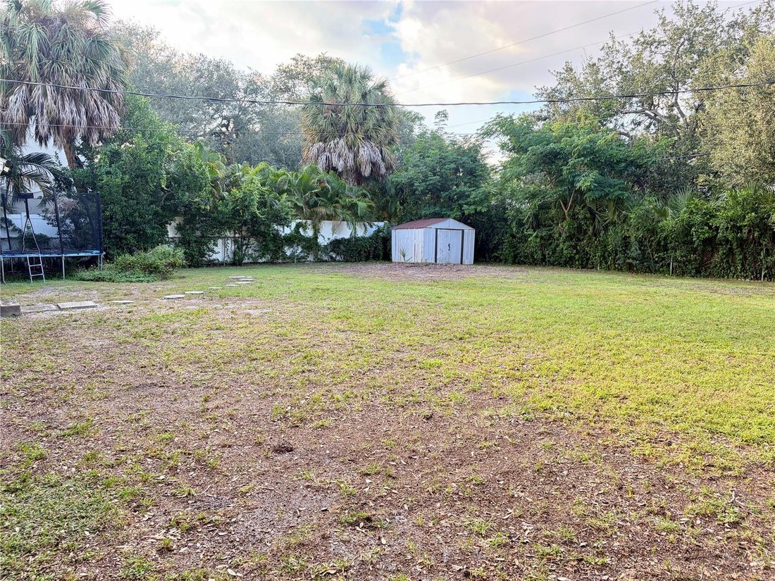 House in Tampa, Florida, United States 3 - 19166413