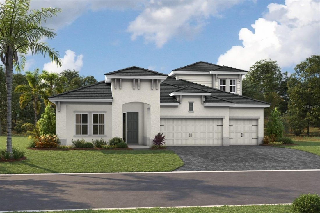 Maison à Parrish, Floride, États-Unis 1 - 19166400