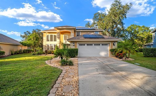 Casa a Valrico, Florida, Stati Uniti 1