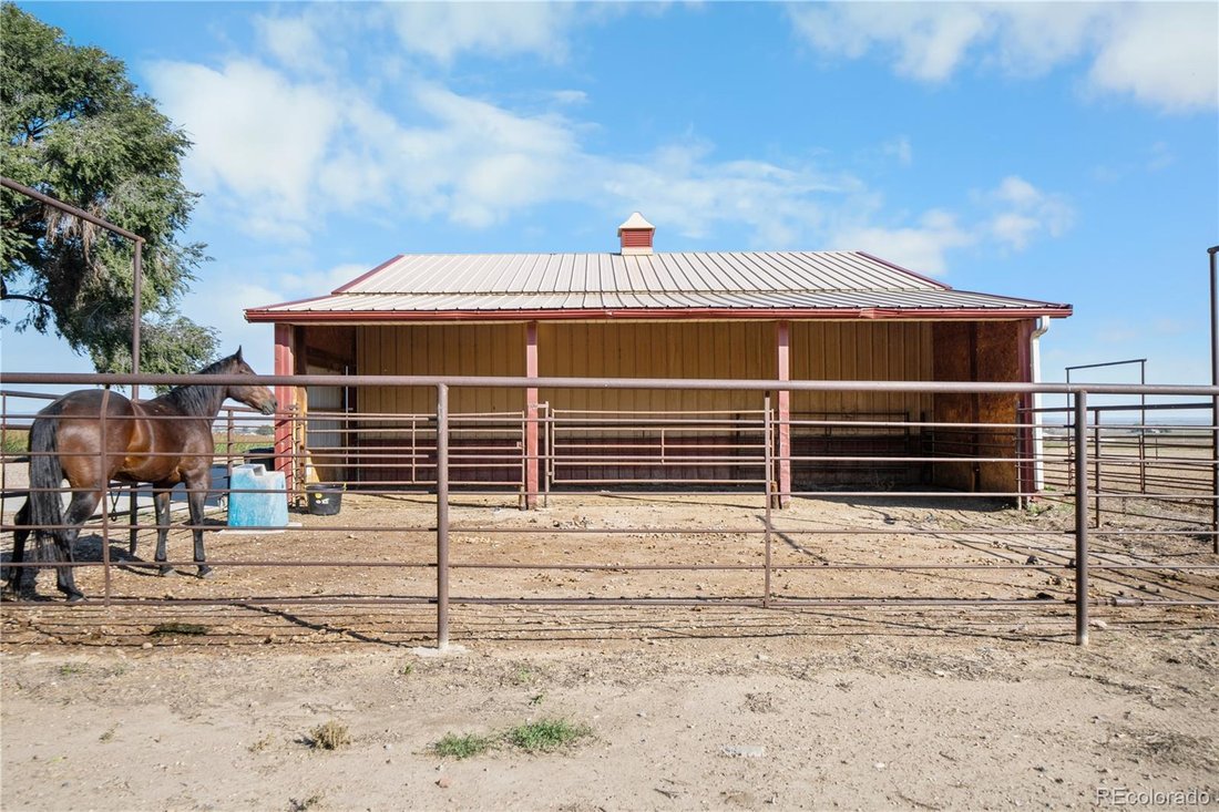 Maison à Pueblo, Colorado, États-Unis 5 - 19166496