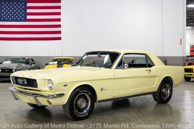 "Pretty Pony" in Commerce Twp, United States 1 - 19167020