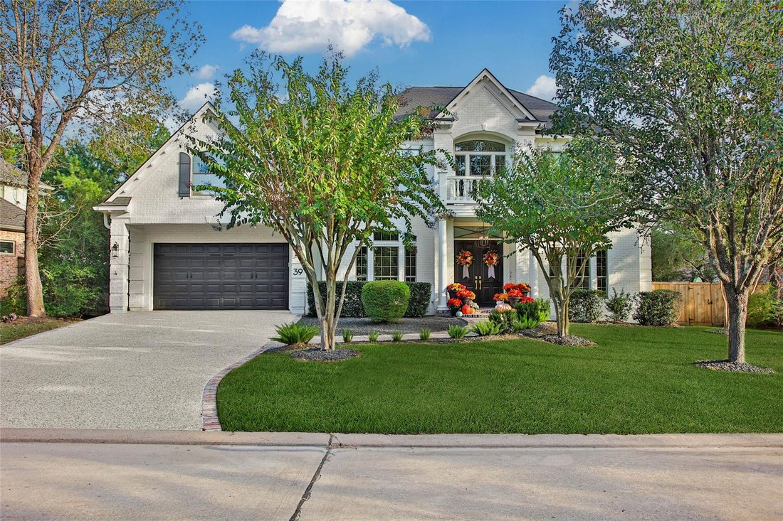 Maison à The Woodlands, Texas, États-Unis 1 - 19166560