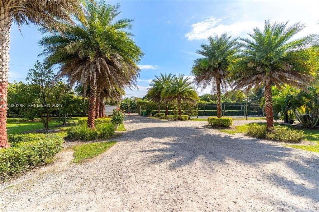 Andere in Miami, Florida, Vereinigte Staaten 2 - 19166728