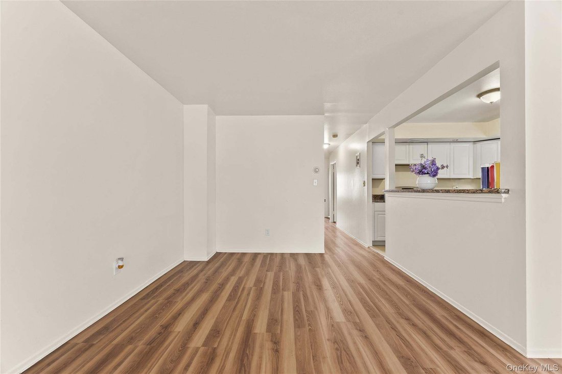 House in New York, New York, United States 4 - 19166501