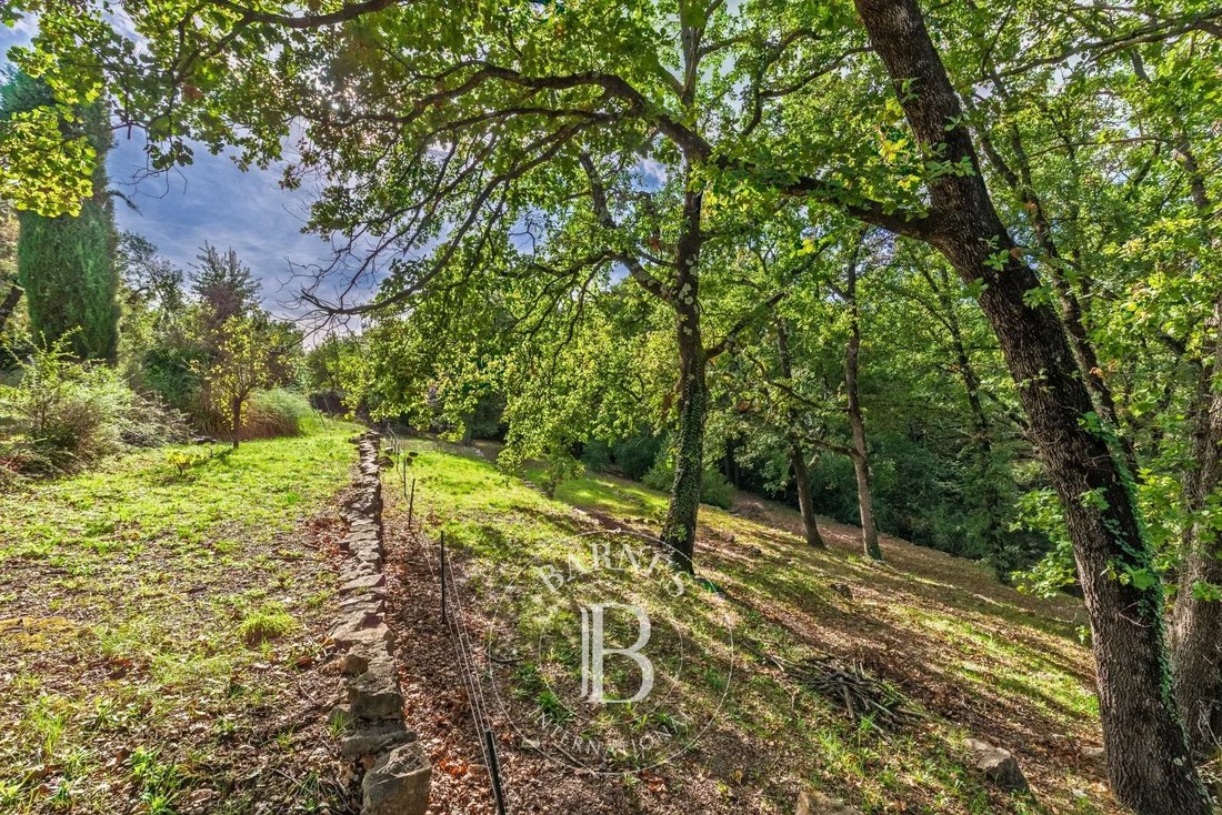 Land in Opio, Provence-Alpes-Côte d'Azur, France 4 - 19153398