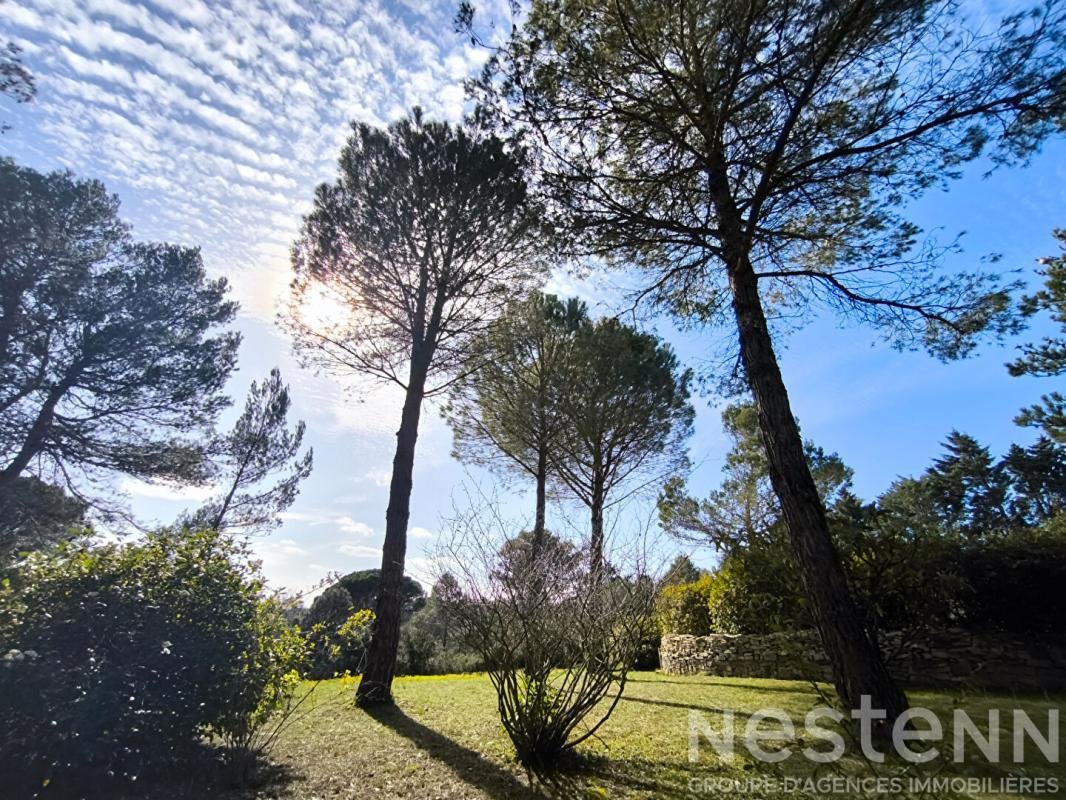 Maison à Aragon, Occitanie, France 4 - 19167222