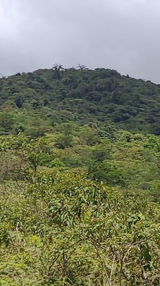 Terreno en Guadalajara, Provincia de Guanacaste, Costa Rica 4 - 19167796