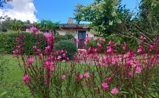 Villa a Arzachena, Sardegna, Italia 1