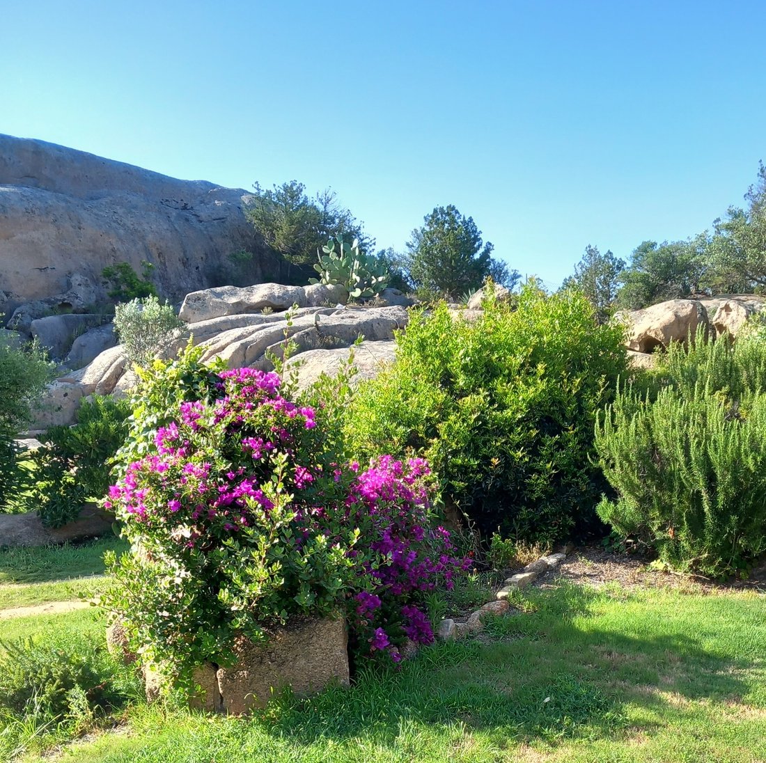 Villa à Arzachena, Sardaigne, Italie 4 - 19168044
