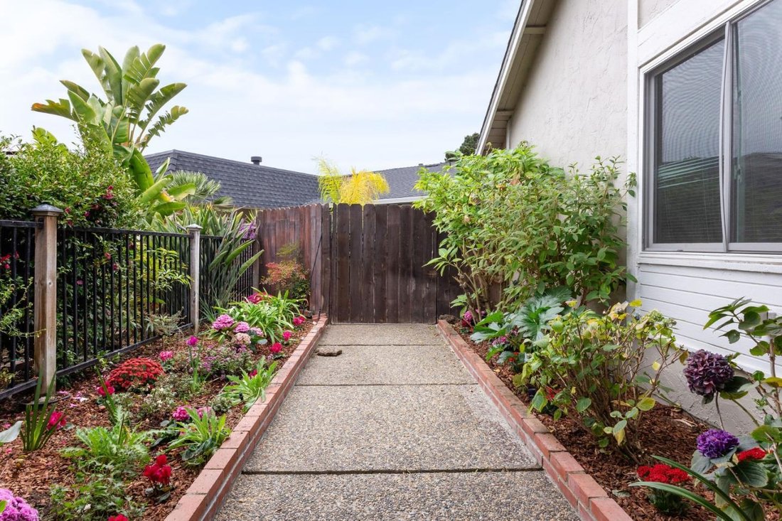 Haus in Redwood City, Kalifornien, Vereinigte Staaten 5 - 19172576