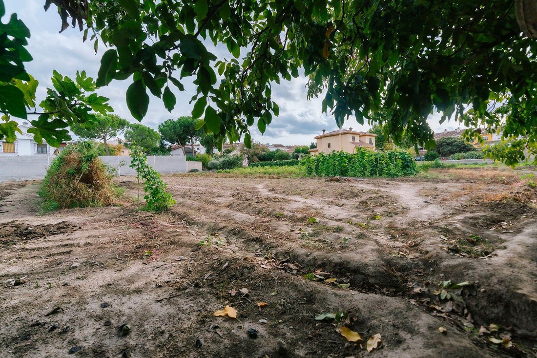Land in La Zubia, Andalusia, Spain 4 - 19173384