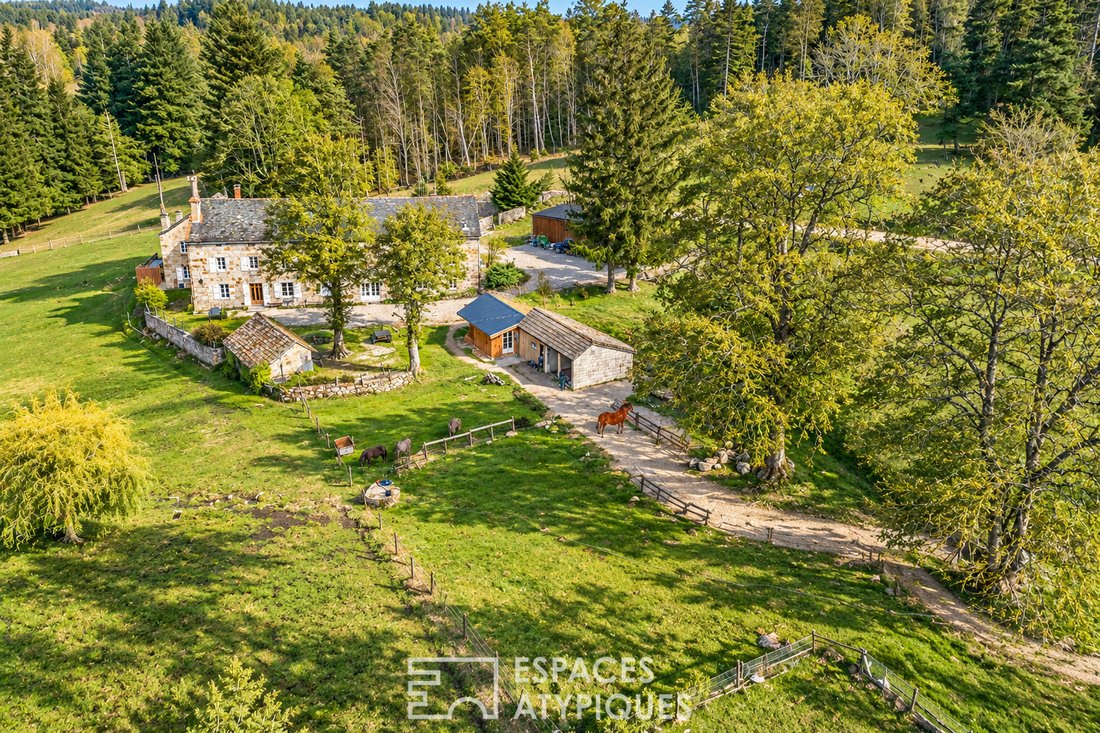 Villa à Le Chambon-sur-Lignon, Auvergne-Rhône-Alpes, France 1 - 17935273