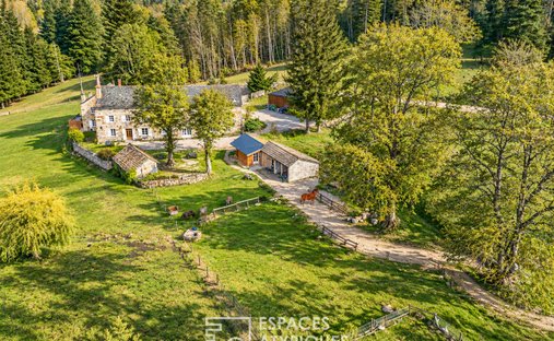 Villa en Le Chambon-sur-Lignon, Auvernia-Ródano-Alpes, Francia 1