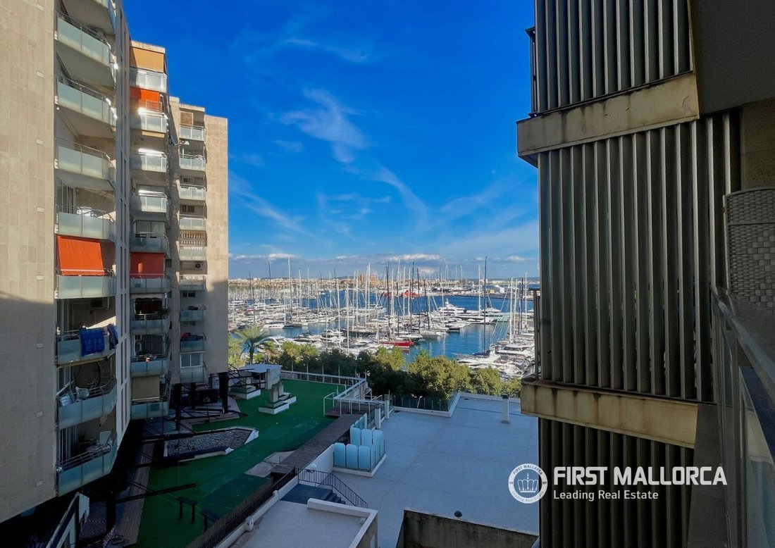 Apartment in Palma, Balearic Islands, Spain 2 - 19169914