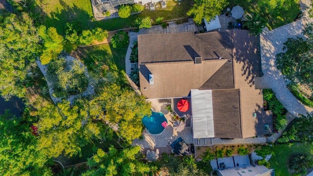 House in Dunedin, Florida, United States 3 - 19176094