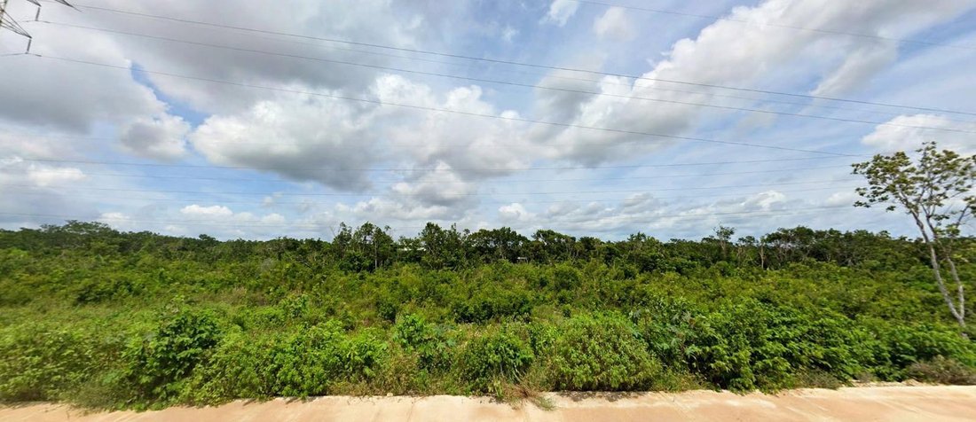Land in Cancún, Quintana Roo, Mexiko 5 - 19181121
