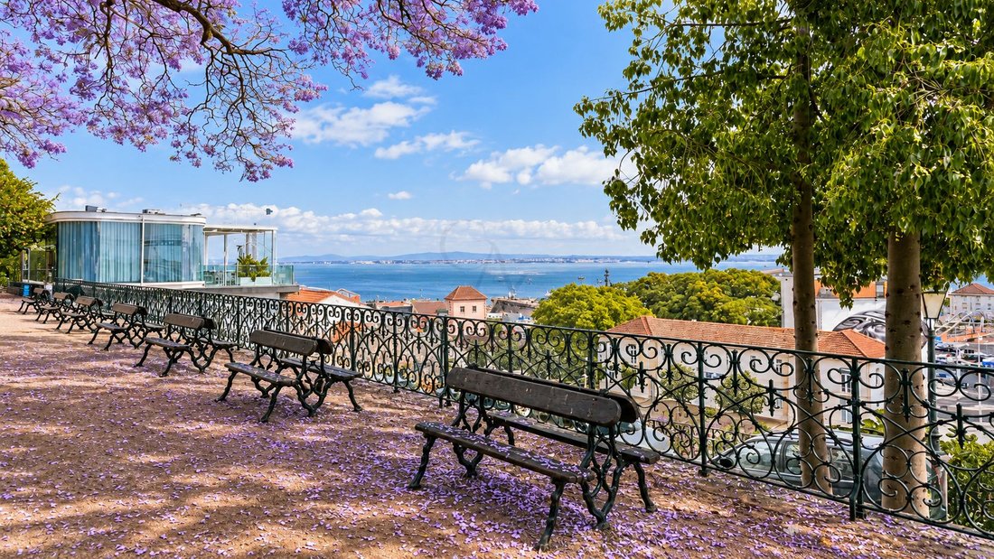 Apartment in Estrela, Lisbon, Portugal 4 - 19170557