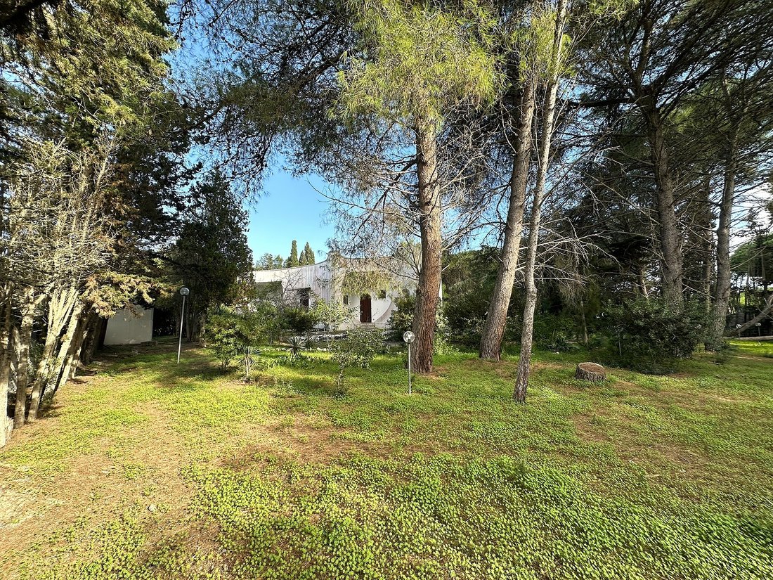 Villa in Litorale Leccese, Lecce, Apulia 4 - 19169465