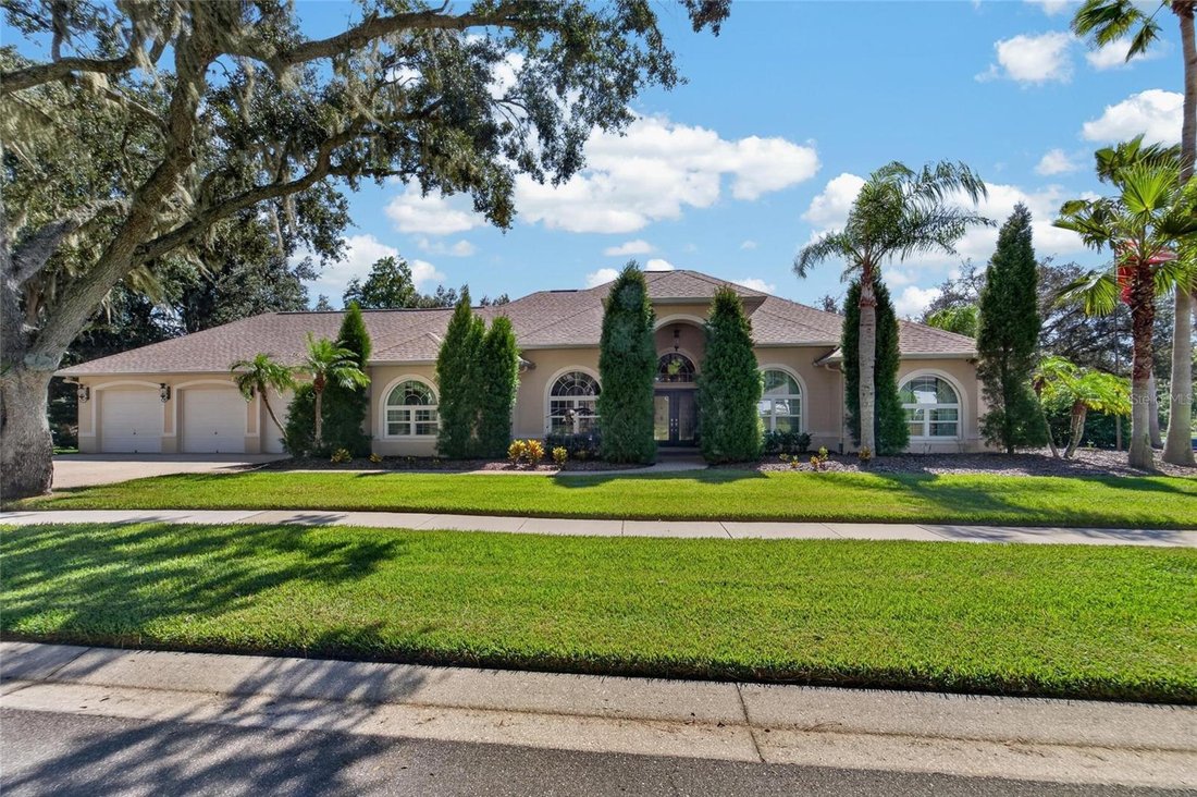Maison à Valrico, Floride, États-Unis 1 - 19174853