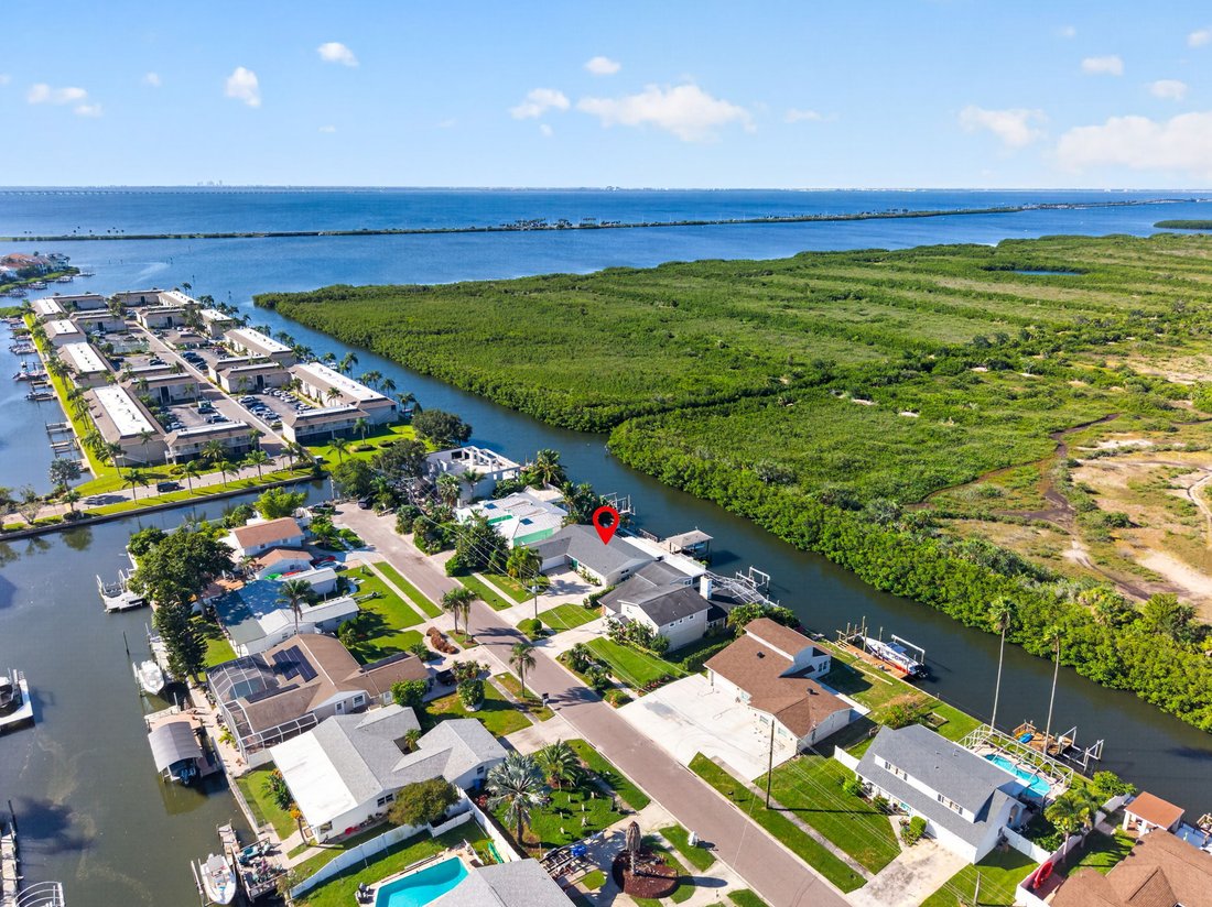House in Tampa, Florida, United States 2 - 19170893