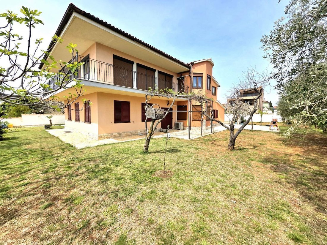 Otros en Galižana, Istria, Croacia 2 - 17814705