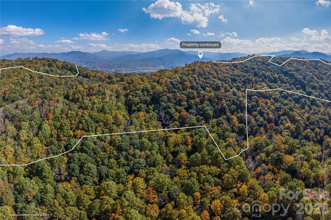 Land in Waynesville, North Carolina, United States 4 - 19170702